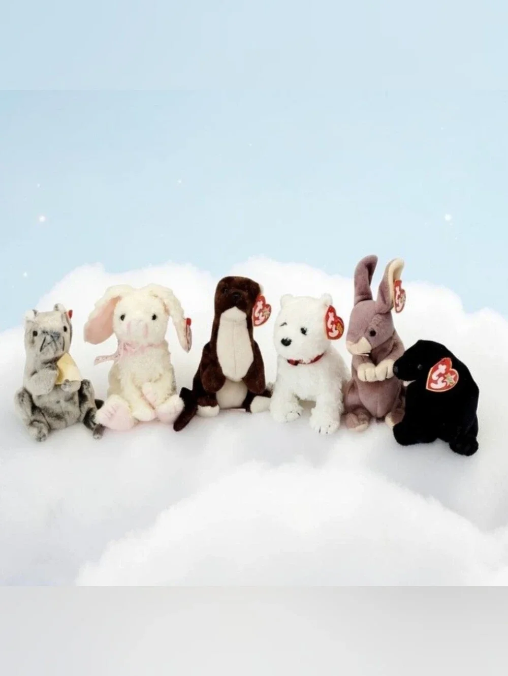 (Lot Of 6) Retired Ty Beanie Babies Cheddar/ Marshmallow/Dundee/Springy/Runner/B